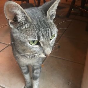 Meet your Posher, Bella